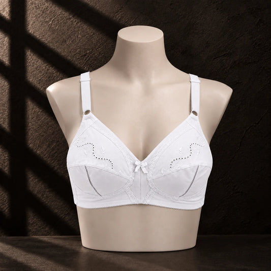 IFG Comfort 15 (B,C)